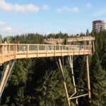 From Kraków: Slovakia Treetop Walk And Dunajec Rafting Tour Tour Overview