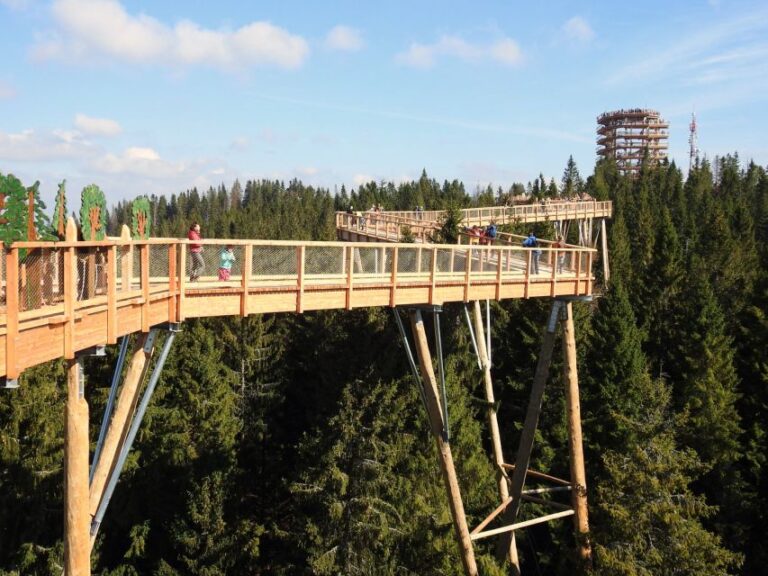 From Kraków: Slovakia Treetop Walk And Dunajec Rafting Tour Tour Overview