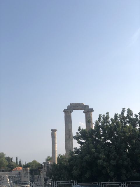 From Kusadasi: Priene, Miletos, And Didyma Private Day Trip Tour Overview