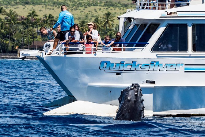 From Maalaea Harbor: Whale Watching Tours Aboard the Quicksilver - Whale Watching Experience