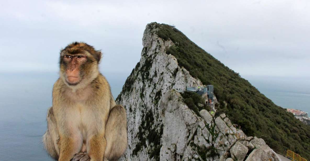 From Málaga: Gibraltar Rock and Caves Full-Day Tour - Tour Overview