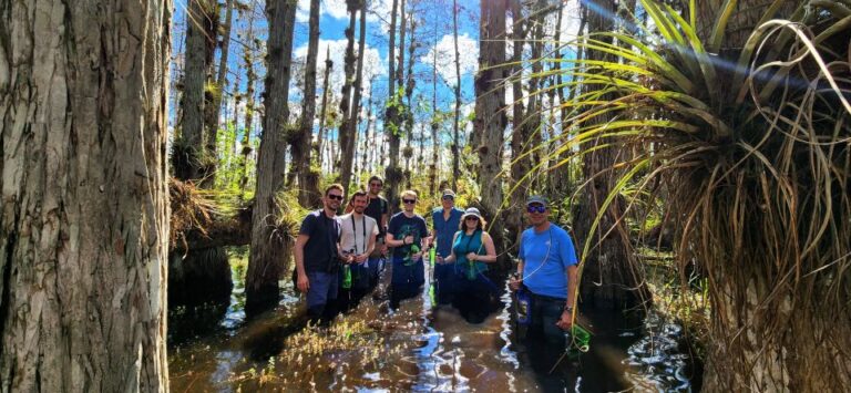 From Miami: Everglades Tour W/ Wet Walk, Boat Trips, & Lunch Overview Of The Tour