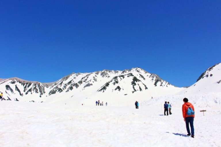 From Nagano: Tateyama Kurobe Alpine Route Overview Of The Tour