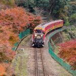 From Osaka To Kyoto: Arashiyama Bamboo Forest Tour Tour Overview