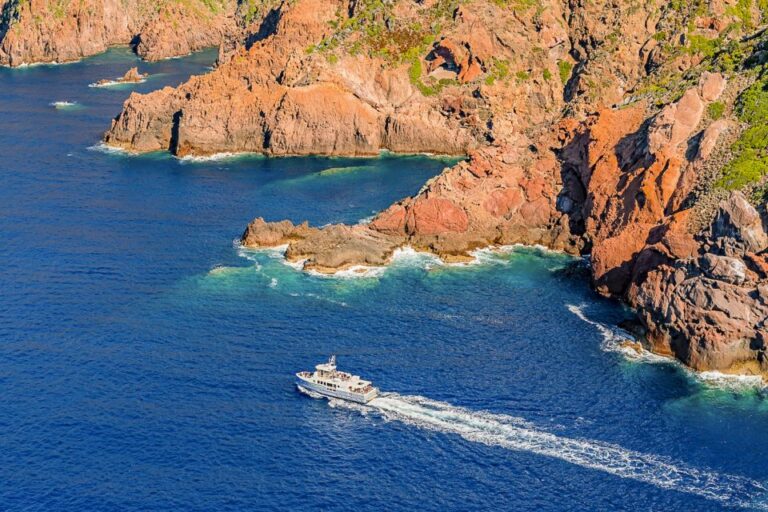 From Ota: Scandola Nature Reserve Eco Friendly Boat Tour Exploring Scandola Nature Reserve