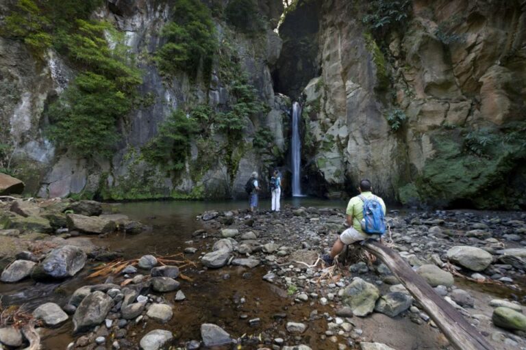 From Ponta Delgada: Guided Walking Tour To Salto Do Cabrito Tour Overview And Pricing