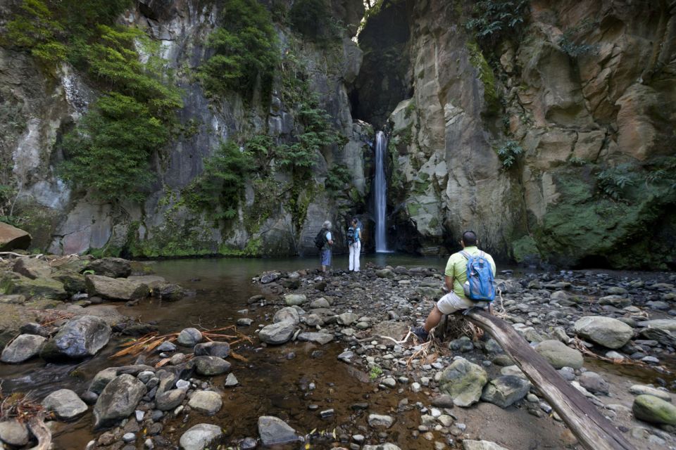 From Ponta Delgada: Guided Walking Tour to Salto Do Cabrito - Tour Overview and Pricing