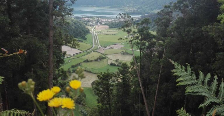 From Ponta Delgada: Sete Cidades Walk, Tasting And Kayaking Tour Overview And Pricing