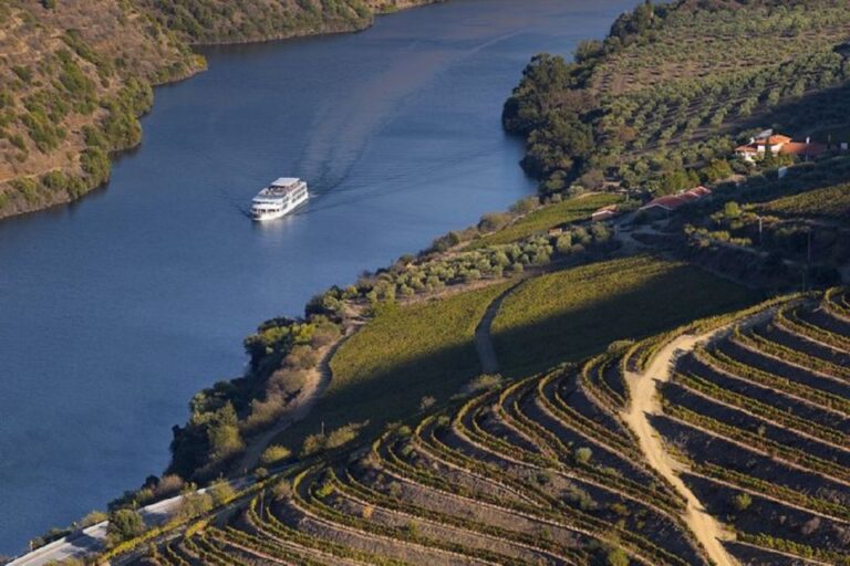 From Porto: Régua To Porto River Cruise With Lunch On Board Overview And Pricing