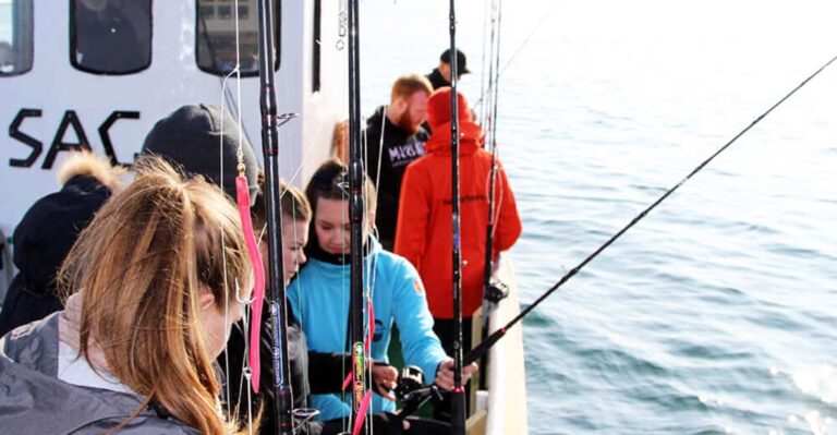 From Reykjavik: Sea Fishing Gourmet Tour Tour Overview