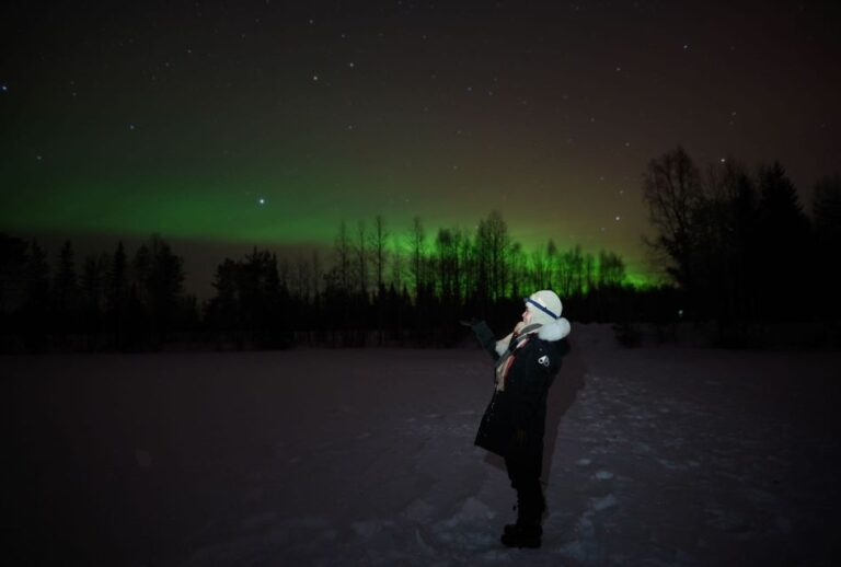 From Rovaniemi: Aurora Dreamscape Tour In The Wild Tour Overview