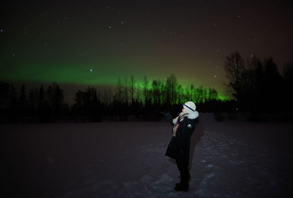 From Rovaniemi: Aurora Dreamscape Tour in the Wild - Tour Overview