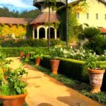 From San Francisco: Private Muir Woods And Napa Wine Tour Customizable Private Tour Highlights