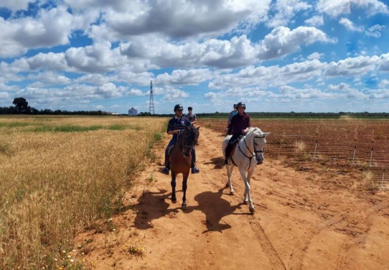 From Seville: Andalusian Horseback Ride Activity Overview