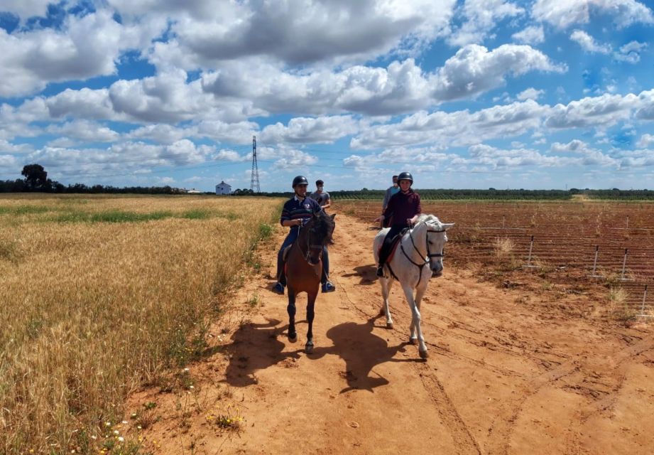 From Seville: Andalusian Horseback Ride - Activity Overview