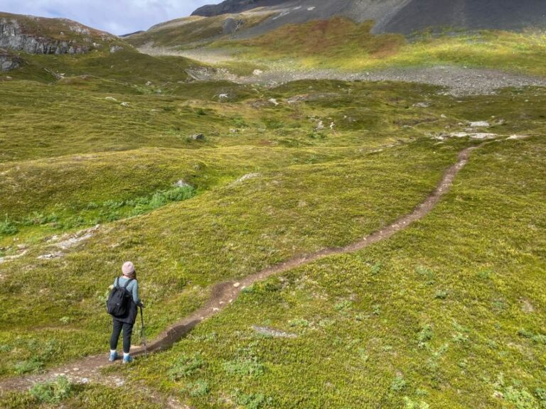 From Seward: Harding Icefield Trail Hiking Tour Tour Overview