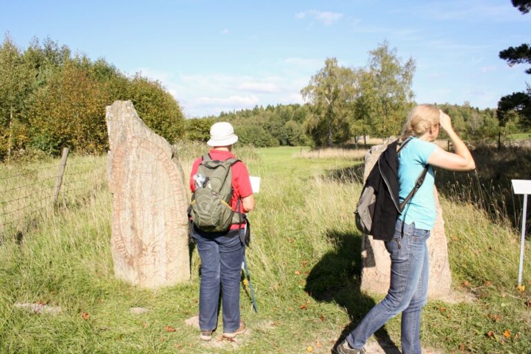 From Stockholm: Viking History Tour To Sigtuna And Uppsala Tour Overview