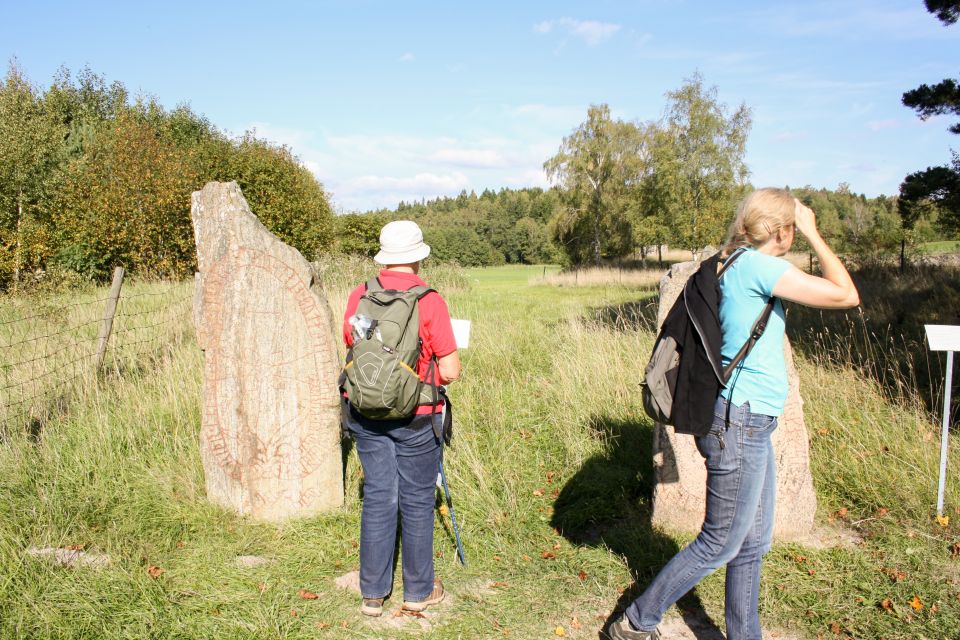 From Stockholm: Viking History Tour to Sigtuna and Uppsala - Tour Overview