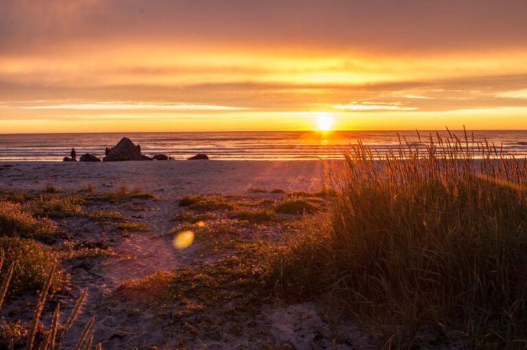 From Svolvær: Midnight Sun Photography Tour Tour Details