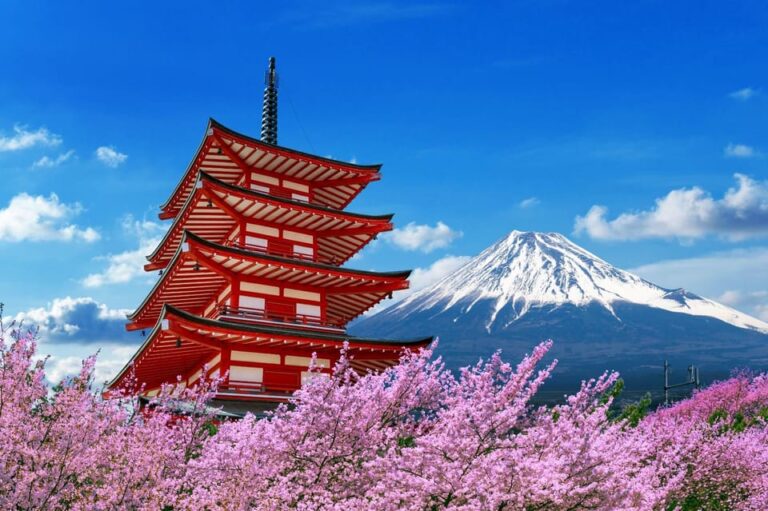 From Tokyo: 1 Day Mount Fuji Private Guided Tour Tour Overview