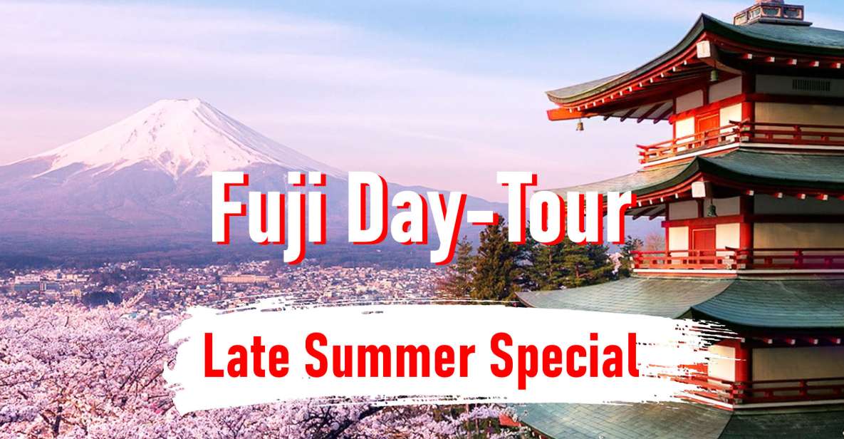 From Tokyo: 10-hour Mount Fuji Private Customizable Tour - Tour Overview and Pricing