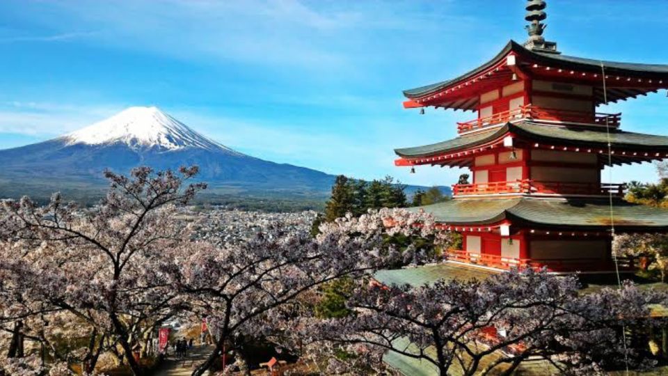 From Tokyo: Customizable Mount Fuji Full-Day Private Tour - Tour Overview and Pricing