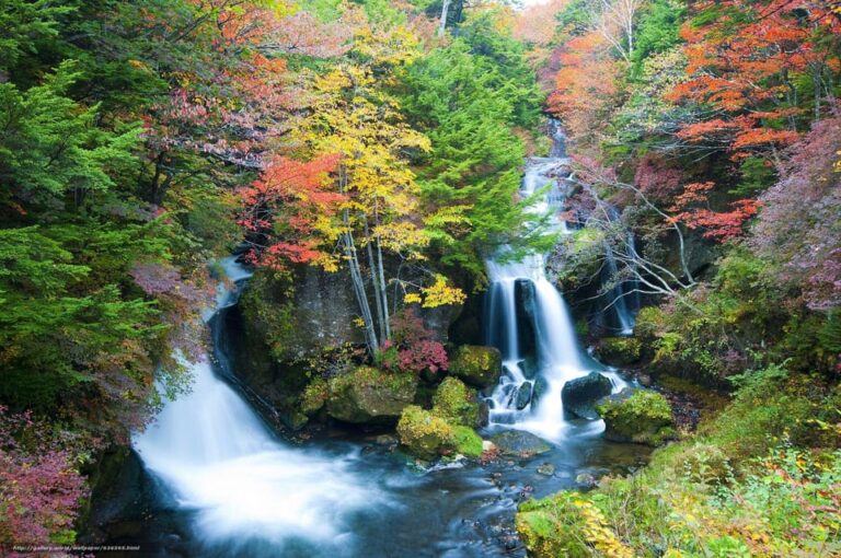 From Tokyo: Explore Nikko In A One Day, Shrine, Waterfall Pricing And Discounts