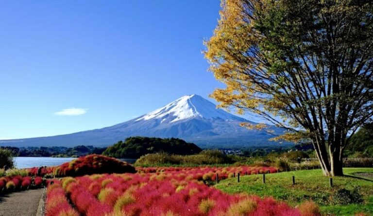 From Tokyo: Hakone 1 Day Private Tour With English Driver Tour Overview And Pricing