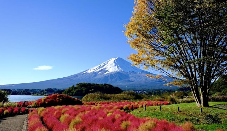 From Tokyo: Hakone 1 Day Private Tour With English Driver - Tour Overview and Pricing