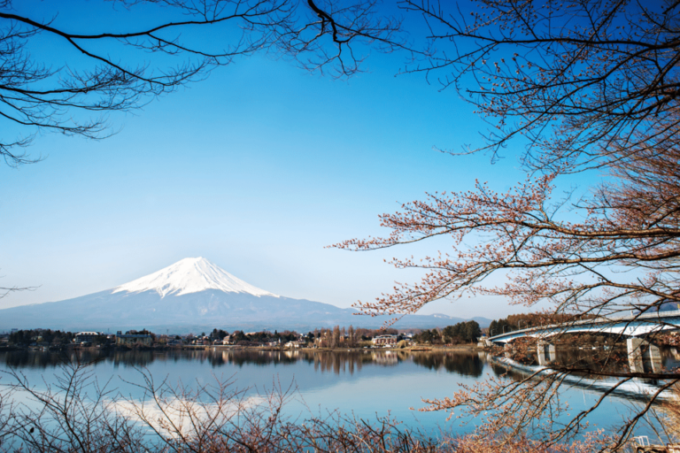 From Tokyo: Mount Fuji And Fuji 5 Lakes Private Guided Tour Tour Overview And Pricing