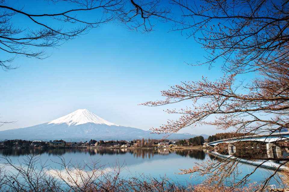 From Tokyo: Mount Fuji and Fuji 5 Lakes Private Guided Tour - Tour Overview and Pricing