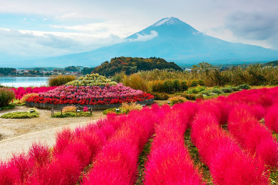 From Tokyo: Mount Fuji Full-Day Sightseeing Trip - Tour Overview