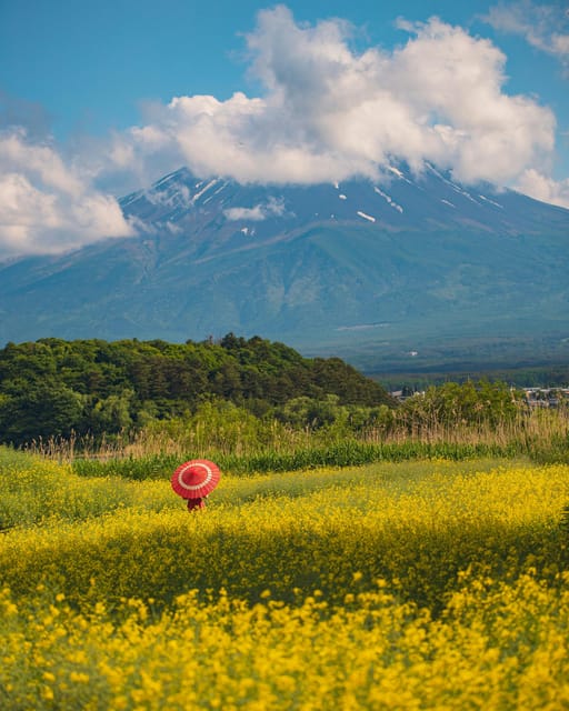 From Tokyo: Mount Fuji Instagram Spots 1-Day Private Tour - Tour Overview and Pricing