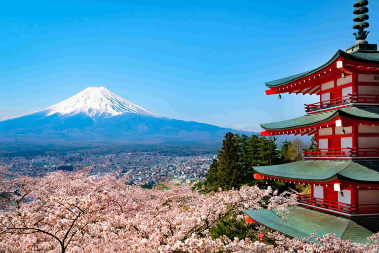 From Tokyo Mt Fuji Fully Customize Tour With English Driver Tour Overview And Pricing