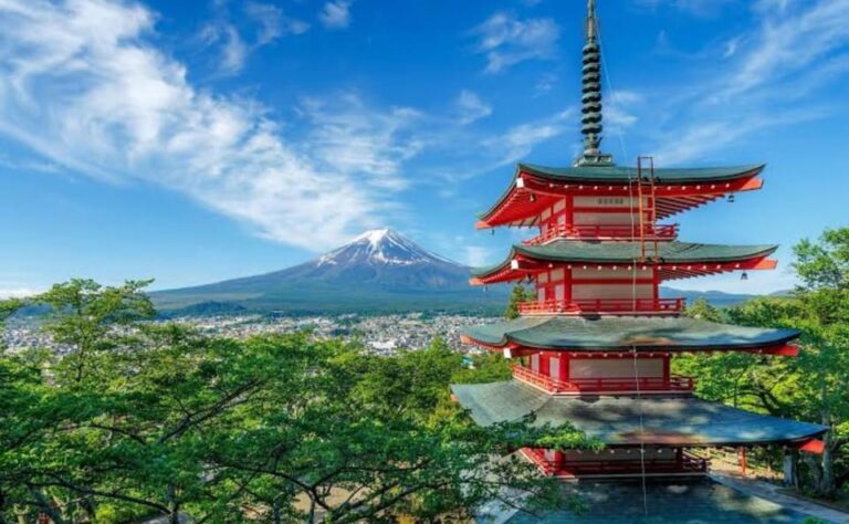 From Tokyo : Mt Fuji Private Sightseeing Tour Tour Overview