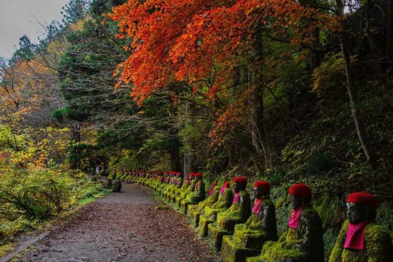 From Tokyo : Nikko Full Day Private Sightseeing Tour Tour Overview And Pricing