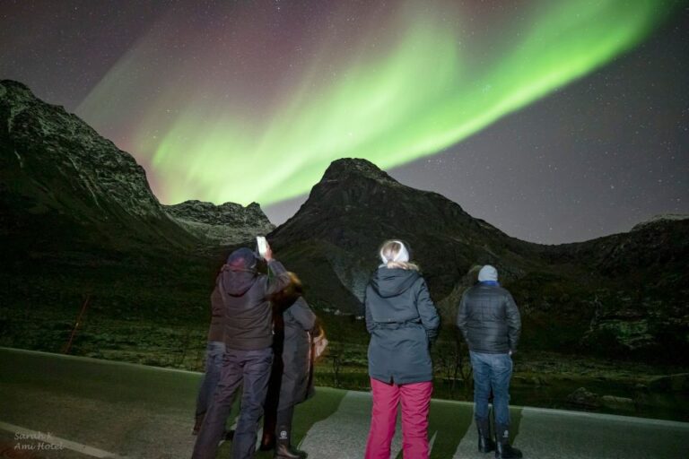 From Tromsø: Guided Northern Lights Photo Chase Tour Overview