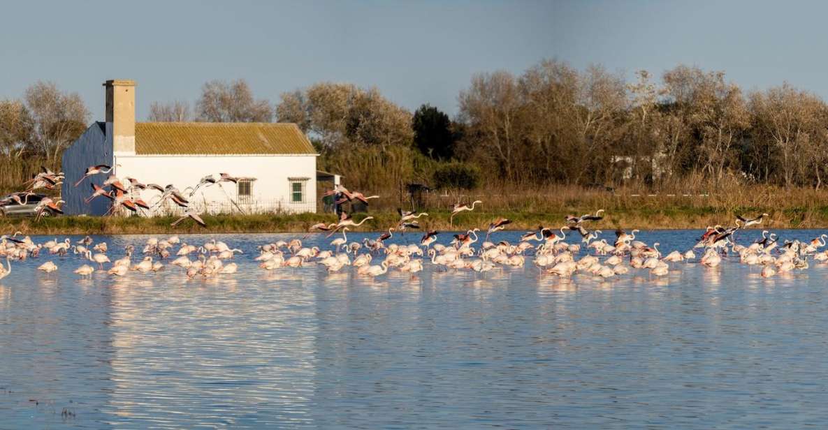 From Valencia: Albufera Tour With Paella, Boat Ride & Walk - Tour Overview