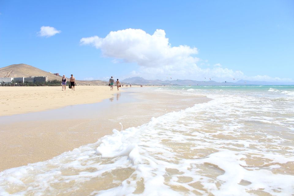 Fuerteventura South Full-Day Tour - Pricing and Booking