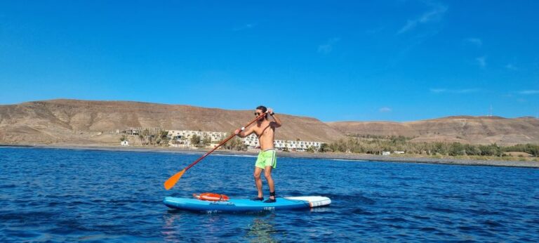 Fuerteventura: Stand Up Paddle Overview Of Stand Up Paddle