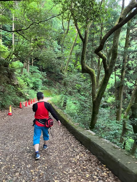 FUKUOKA : MOUNT TENPAI TREKKING TOUR - Tour Overview