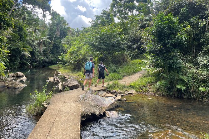 Full-Day Tour of Guavate and Charco Azul in Puerto Rico - Overview of the Tour