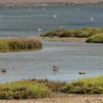 Full Day Trip To Cabo De Gata Natural Park Tour Overview