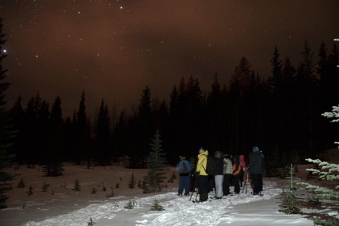 Full Moon Snowshoe Tour Meeting And Pickup Logistics