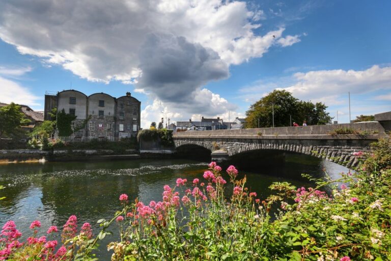 Galway: True Local Walking Tour Tour Overview