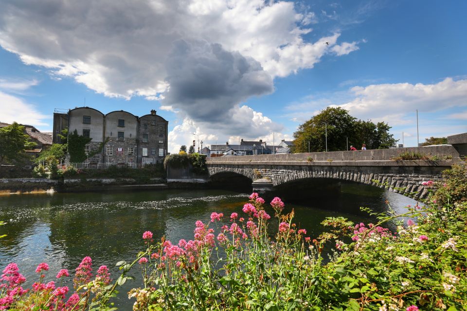 Galway: True Local Walking Tour - Tour Overview