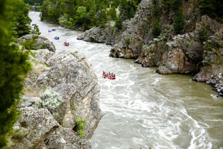 Gardiner: Yellowstone River Half Day Whitewater Rafting Activity Overview