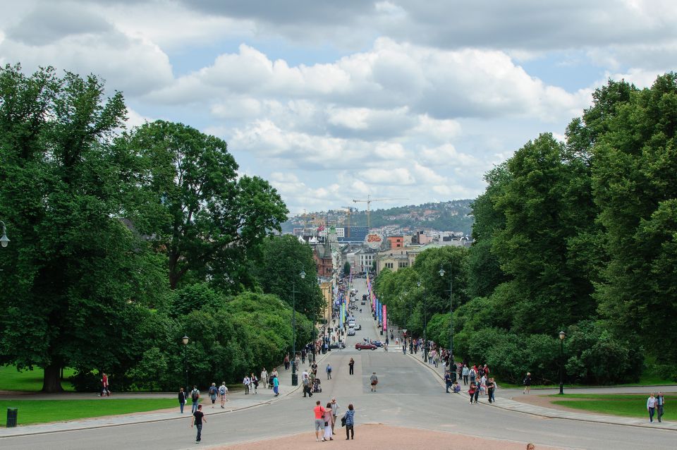 Gems of Central Oslo Private Walking Tour - Tour Overview