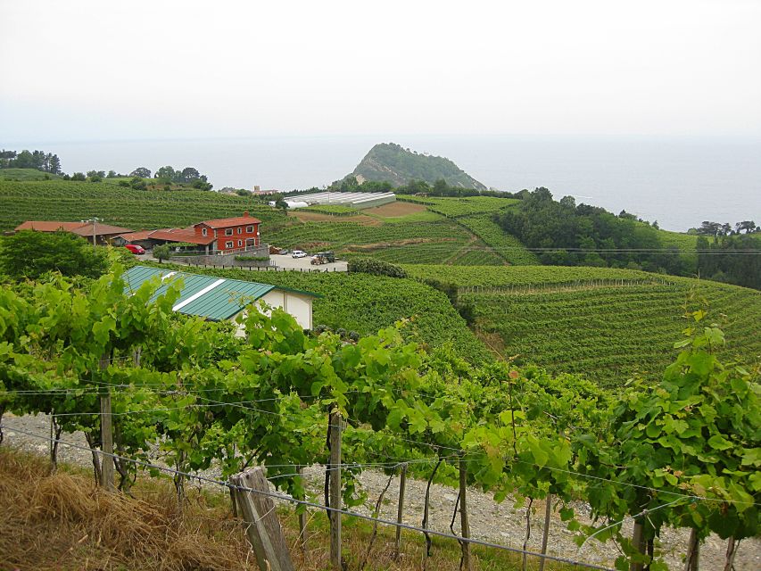 Getaria Txakoli Wine Tour From San Sebastian - Tour Overview