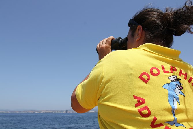 Gibraltar Dolphin Adventure Overview Of The Tour